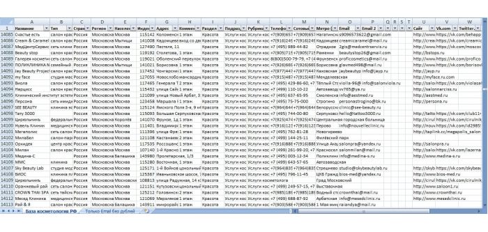 Готовая база центров косметологии России