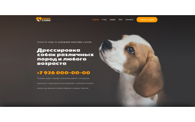 Подготовительный центр для собак